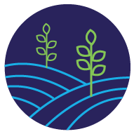 cgf agriculture
